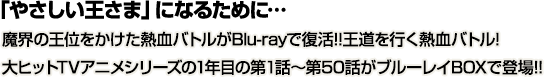 大ヒットTVアニメシリーズの1年目の第1話～第50話がブルーレイBOXで登場!!