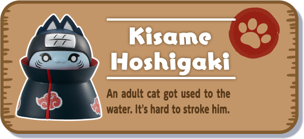 [Kisame Hoshigaki] An adult cat got used to the water. It's hard to stroke him.