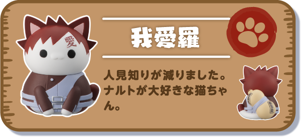 【我愛羅】人見知りが減りました。ナルトが大好きな猫ちゃん。