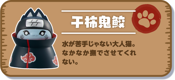 【干柿鬼鮫】水が苦手じゃない大人猫。なかなか撫でさせてくれない。