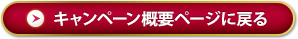 キャンペーン概要ページに戻る