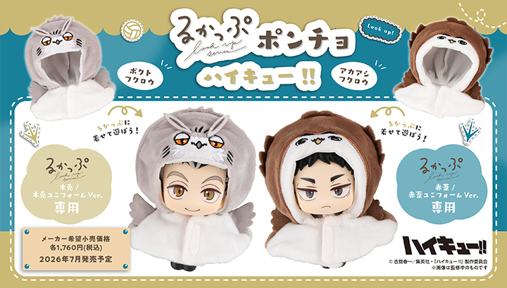 るかっぷポンチョ ハイキュー!!  ボクトフクロウ/アカアシフクロウ