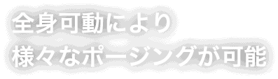 全身可動により様々なポージングが可能