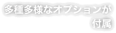 多種多様なオプションが付属