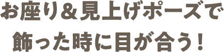 01 お座り＆見上げポーズで飾った時に目が合う！