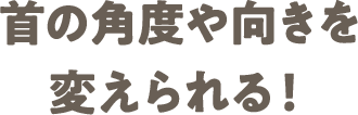 02 首の角度や向きを変えられる！