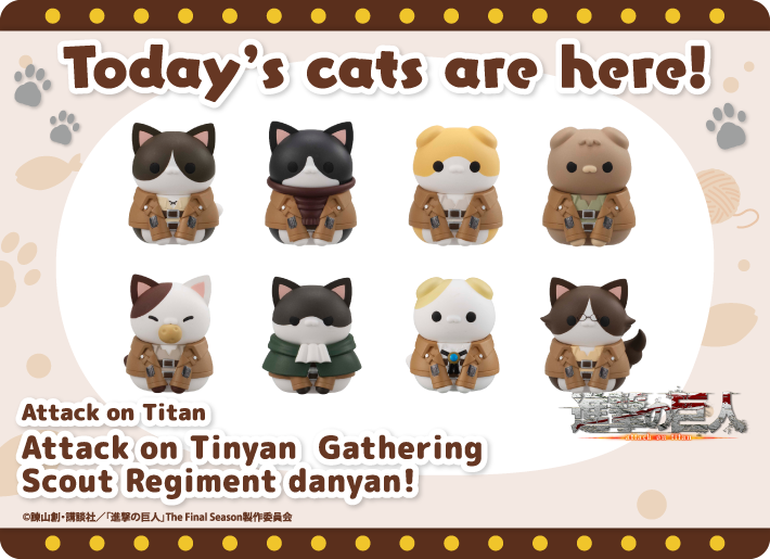 Today’s cats are here!