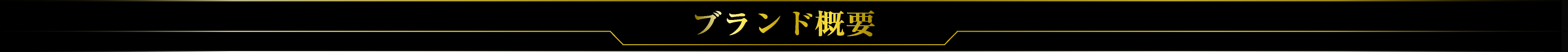ブランド概要