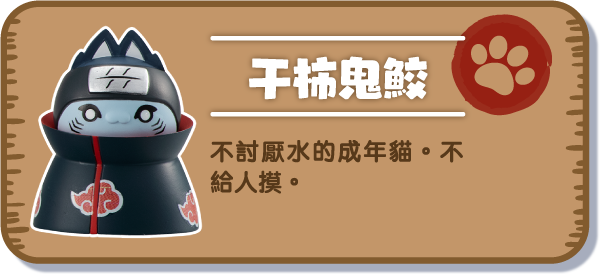 [干柿鬼鮫] 不討厭水的成年貓。不給人摸。