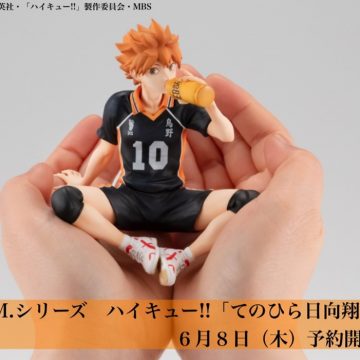 【#ハイキュー】6月8日(木)予約開始！ G.E.M. 「てのひら日向翔陽」紹介メガ★ #hq_anime #メガハウス